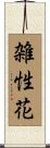 雑性花 Scroll