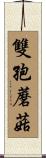 雙孢蘑菇 Scroll