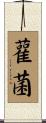 雚菌 Scroll