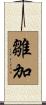 雛加 Scroll