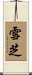 雪芝 Scroll