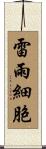 雷雨細胞 Scroll