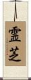 霊芝 Scroll