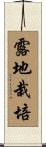 露地栽培 Scroll