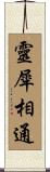 靈犀相通 Scroll
