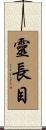 靈長目 Scroll