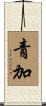 青加 Scroll