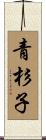 青杉子 Scroll
