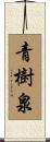 青樹泉 Scroll