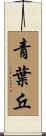 青葉丘 Scroll