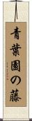 青葉園の藤 Scroll