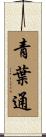 青葉通 Scroll