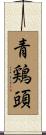 青鶏頭 Scroll