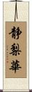 静梨華 Scroll
