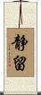 静留 Scroll