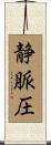 静脈圧 Scroll