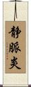 静脈炎 Scroll