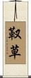 靫草 Scroll