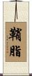鞘脂 Scroll