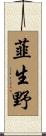 韮生野 Scroll