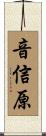 音信原 Scroll