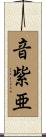 音紫亜 Scroll