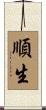順生 Scroll
