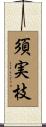 須実枝 Scroll