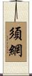 須網 Scroll