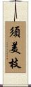 須美枝 Scroll