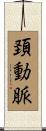 頚動脈 Scroll