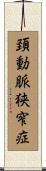 頚動脈狭窄症 Scroll