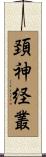 頚神経叢 Scroll