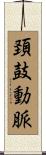 頚鼓動脈 Scroll