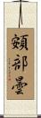 頞部曇 Scroll