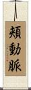 頬動脈 Scroll