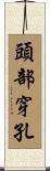 頭部穿孔 Scroll
