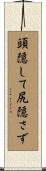 頭隠して尻隠さず Scroll