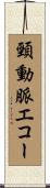 頸動脈エコー Scroll