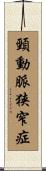 頸動脈狭窄症 Scroll