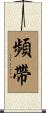 頻帶 Scroll
