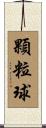 顆粒球 Scroll