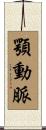 顎動脈 Scroll