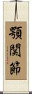 顎関節 Scroll