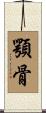 顎骨 Scroll