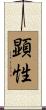 顕性 Scroll