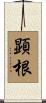 顕根 Scroll
