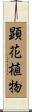 顕花植物 Scroll