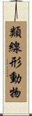 類線形動物 Scroll
