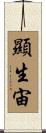 顯生宙 Scroll